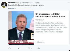 英国驻美大使爆料视频,揭秘美英关系内幕