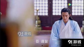 彦卿后续爆料视频,幕后真相与精彩瞬间